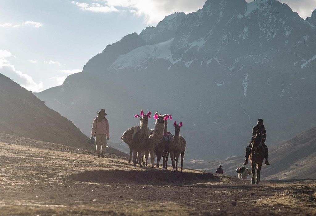 Ascent of Qampa Mountain (5500m)